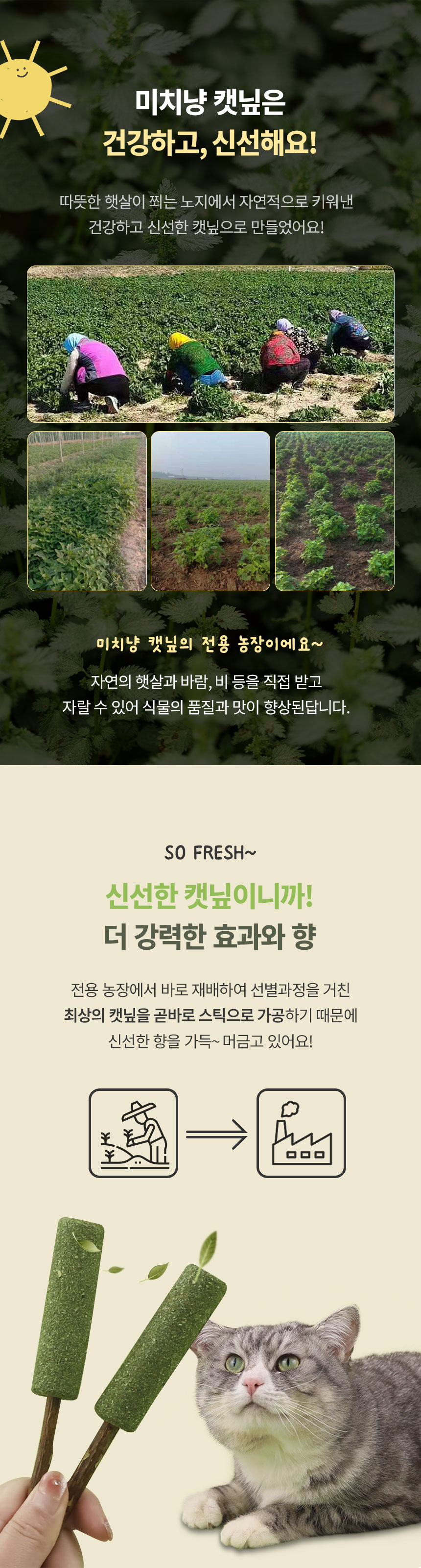 캣닢 마따따비 냥빼로 고양이놀이 캣토이 캣닢장난감 상세 이미지 3