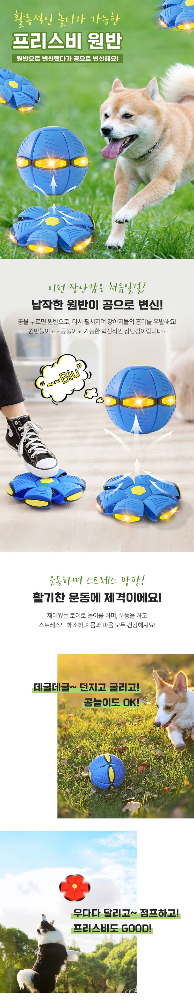 크레용펫 움직이는 강아지 장난감 훈련 프리스비 원반 공 이미지 2